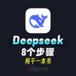 Deepseek八个步骤榨干一本书